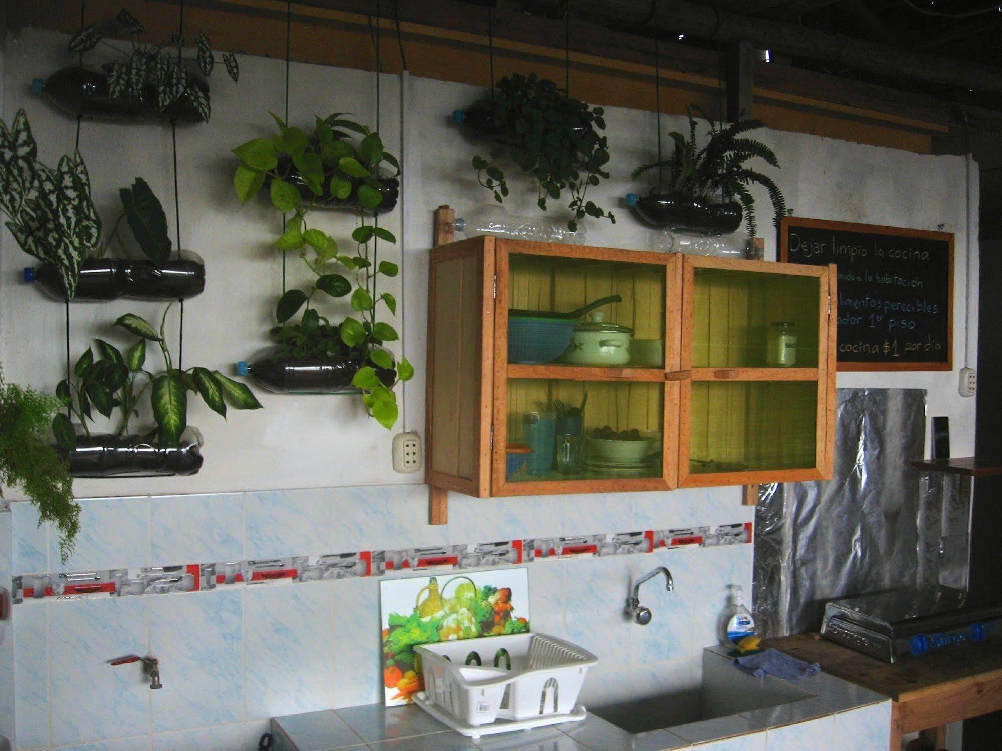 Amazon House Hostel Iquitos Extérieur photo